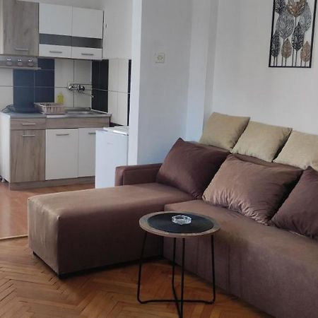 Apartment Mina Сокобаня Екстер'єр фото
