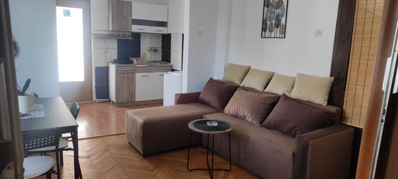 Apartment Mina Сокобаня Екстер'єр фото