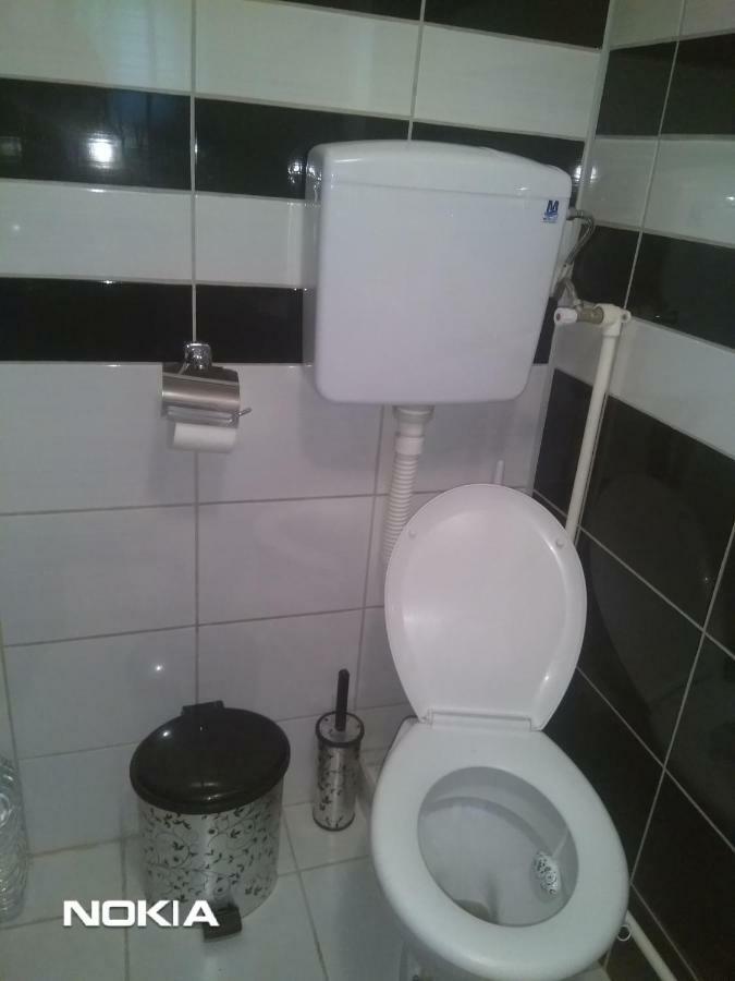 Apartment Mina Сокобаня Екстер'єр фото